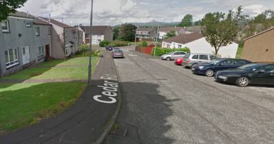 Scots woman, 50, hit with weapon in terrifying break-in involving masked thugs - www.dailyrecord.co.uk - Scotland - county Cedar