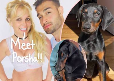 Britney Spears’ Fiancé Sam Asghari Gets Her New Puppy For Protection! - perezhilton.com