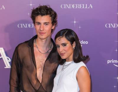 Shawn Mendes And Camila Cabello Show Off Their Impressive Day Of The Dead Costumes - etcanada.com