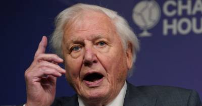 David Attenborough calls on Glasgow COP26 to kickstart 'a wonderful recovery' from climate change - www.dailyrecord.co.uk