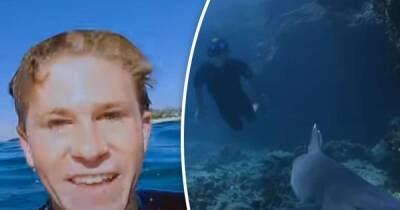 Robert Irwin gets up close and personal with a deadly whitetip shark - www.msn.com - Australia