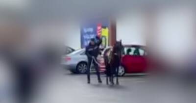 Man filmed beating up pony in supermarket car park - www.manchestereveningnews.co.uk