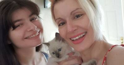 Mum 'humiliated' by Asda staff after taking pet kitten into store - www.dailyrecord.co.uk