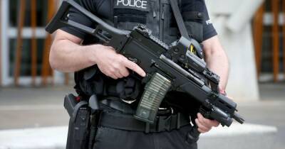 Armed police will patrol Cheshire Oaks during Christmas shopping period as thousands visit - www.manchestereveningnews.co.uk - Manchester