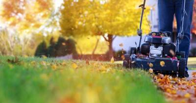 When to stop cutting your grass for winter and prevent damage, according to a gardening expert - www.dailyrecord.co.uk