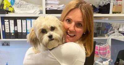 Geri Horner welcomes adorable Shih Tzu and reveals 'dogs make everything alright' - www.ok.co.uk