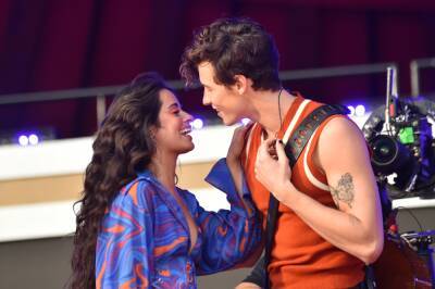 Shawn Mendes And Camila Cabello Split, ‘Will Continue To Be Best Friends’ - etcanada.com