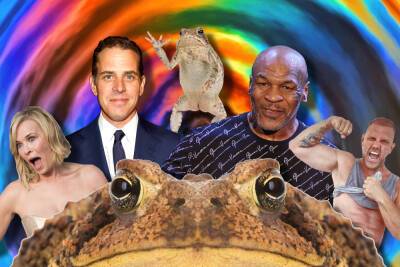 Chelsea Handler - Mike Tyson - Christina Haack - All the celebrities who ‘died’ from smoking toad venom: Mike Tyson, Chelsea Handler and more - nypost.com