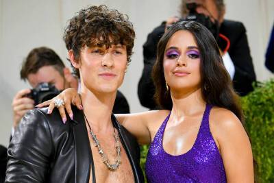 Shawn Mendes, Camila Cabello’s birth charts always spelled PDA—and a breakup - nypost.com