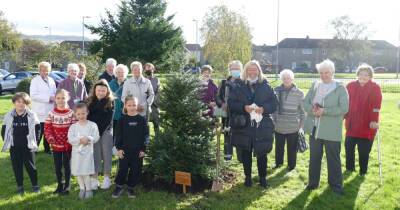 Tree planted in Balloch to commemorate work of healthcare staff during pandemic - www.dailyrecord.co.uk