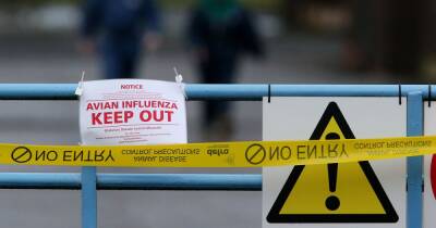 Experts issue warning after bird flu outbreak leads to 10km control zones - www.manchestereveningnews.co.uk