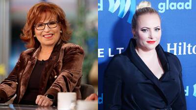 Fans Think Joy Behar Shaded Meghan McCain: ‘The Panel Is Perfect Now’ - hollywoodlife.com