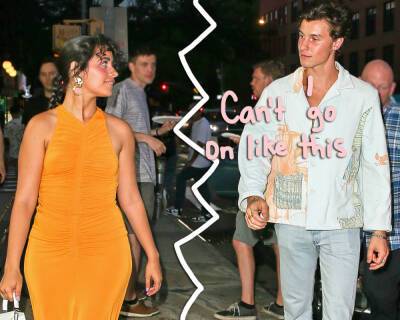 Here's Why Shawn Mendes & Camila Cabello Suddenly Split! - perezhilton.com