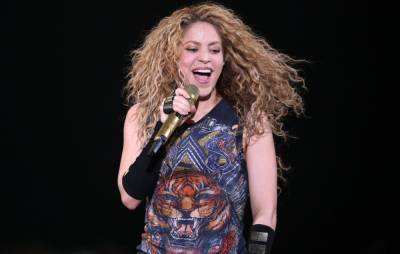 Shakira says “people were just watching” and didn’t help when wild boars robbed her in Barcelona - www.nme.com