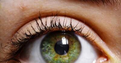 Six foods to help boost your eye health and prevent sight loss - www.dailyrecord.co.uk
