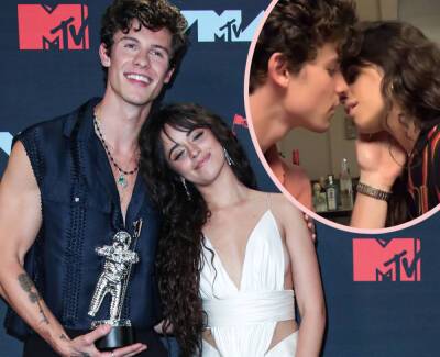 So This Is The REAL Reason Why Shawn Mendes 'Initiated' His Breakup From Camila Cabello - perezhilton.com