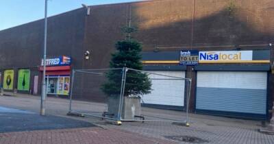 'Saddest Christmas tree ever' spotted in Scots town centre as shoppers are left in stitches - www.dailyrecord.co.uk - Scotland