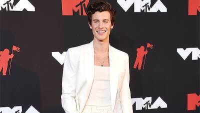 Shawn Mendes Goes Shirtless To Hit The Beach After Camila Cabello Split — Watch - hollywoodlife.com