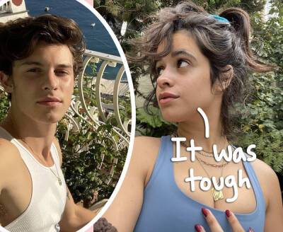 Camila Cabello Says 'Crippling' Anxiety Was 'Getting In The Way' Of Shawn Mendes Relationship! - perezhilton.com
