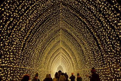 Holidays after dark: 1 million lights dazzle at Brooklyn Botanic Garden - nypost.com