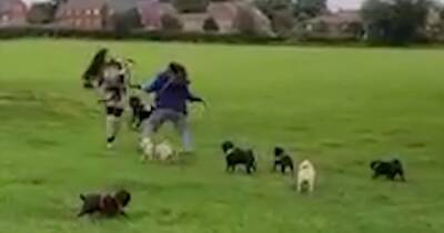 Dog walker is caught on camera whipping cancer survivor’s face with a lead - www.manchestereveningnews.co.uk