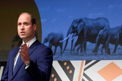 Prince William’s Remarks About African Population Condemned By Critics - etcanada.com - London