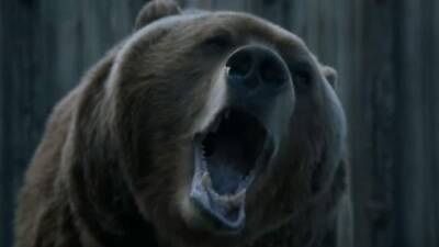 ‘Dr. Dolittle 2’ Star Bart the Bear II Dies at 21 - thewrap.com - state Alaska - Utah - county Creek