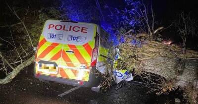 Storm Arwen - Miracle escape for officers as tree comes down crushing police van amid storms in Scots village - dailyrecord.co.uk - Scotland