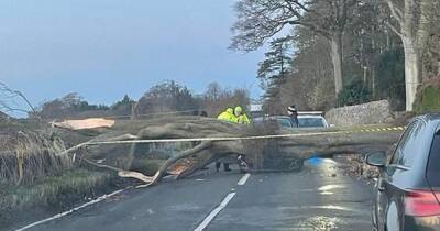 Storm Arwen chaos knocks out power to more than 115,000 properties in Scotland - www.dailyrecord.co.uk - Scotland