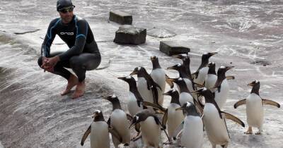 Edinburgh Zoo reveals truth about hilarious viral 'Penguin Erector job tweet' in post about jobs - www.dailyrecord.co.uk - Scotland