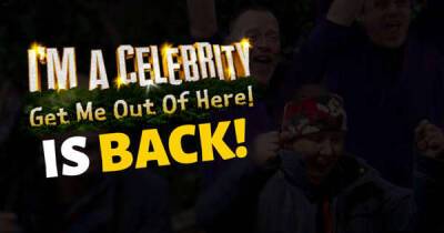 ITV I'm A Celebrity issues statement on future of series as Monday cancelled - www.msn.com