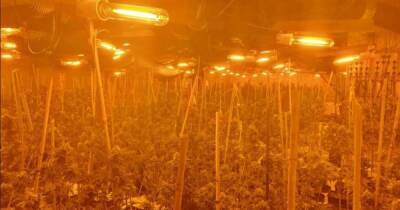 Cannabis factory equipment seized in £5million Cheshire raid finds a new home - www.manchestereveningnews.co.uk
