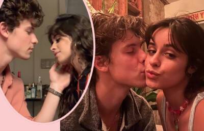 Shawn Mendes Gives Big Clue He Was About To Dump Camila Cabello In Newly Released Interview - perezhilton.com