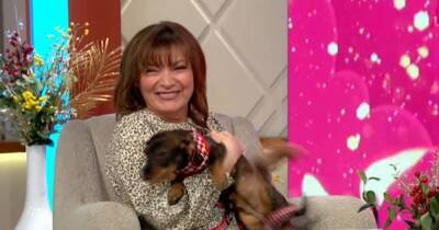 ITV's Lorraine Kelly in wee blunder as she's surprised for her birthday - www.manchestereveningnews.co.uk - city Gary