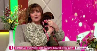 Lorraine fans in hysterics as she's peed on by excited puppy on her birthday - www.ok.co.uk