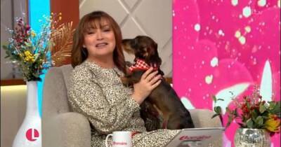 Lorraine descends into chaos as daughter's dog wees on ITV show host - www.dailyrecord.co.uk