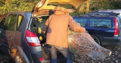 Drivers warned they can be fined £5000 for putting a Christmas tree in their car - www.manchestereveningnews.co.uk