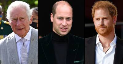 prince Harry - duchess Camilla - Charles Princecharles - Prince Charles, Prince William Told Prince Harry He Was Too ‘Sensitive’ About Alleged Comment About Skin Color, Author Claims - usmagazine.com - county Charles