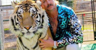 Tiger King Joe Exotic diagnosed with 'aggressive cancer' and pleads to get out of jail - www.dailyrecord.co.uk