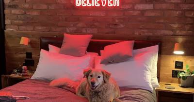 Beer-themed Manchester hotel nominated for dog-friendly business award - www.manchestereveningnews.co.uk - Manchester