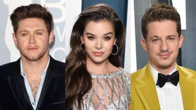 Hailee Steinfeld’s Dating History Includes Some Surprising Pop Stars— We Don’t Just Mean Niall - stylecaster.com
