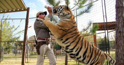 ‘Tiger King 2’ Brings Joe Exotic Back to Netflix: Everything to Know About the Sequel Series - www.usmagazine.com
