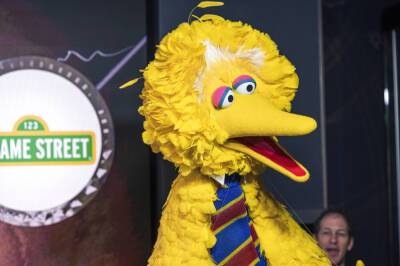 Big Bird Becomes A Target Of The Right In Battle Over Covid-19 Vaccines - deadline.com