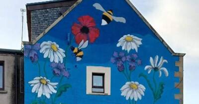 Striking mural designed to celebrate 40 years of Falkirk hospice is now complete - www.dailyrecord.co.uk - county Valley - Beyond