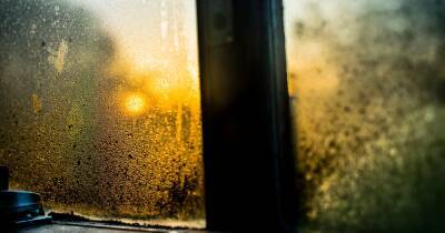 Tips to tackle condensation in your home - and prevent mould and damp - www.manchestereveningnews.co.uk