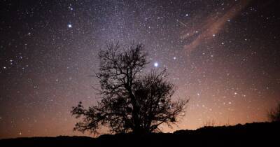 Geminid meteor shower to peak in Scotland tonight - how to see shooting stars - www.dailyrecord.co.uk - Scotland
