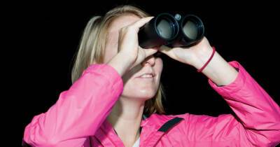 Best binoculars 2021: Top picks for stargazing - www.msn.com