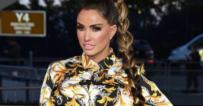 Katie Price handed suspended prison sentence after pleading guilty to drink driving - www.ok.co.uk - county Sussex