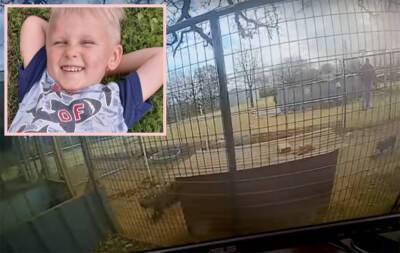 Destiny - 4-Year-Old Boy's Arm Torn Off While Petting Pit Bull Puppies - perezhilton.com - Oklahoma