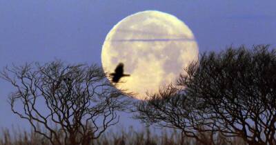 When is the next full moon in the UK? - www.manchestereveningnews.co.uk - Britain - USA